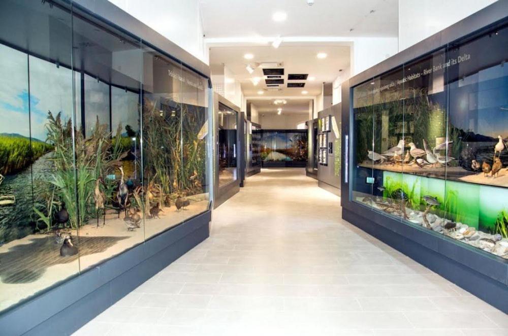 Apartmani More โกมาร์นา ภายนอก รูปภาพ